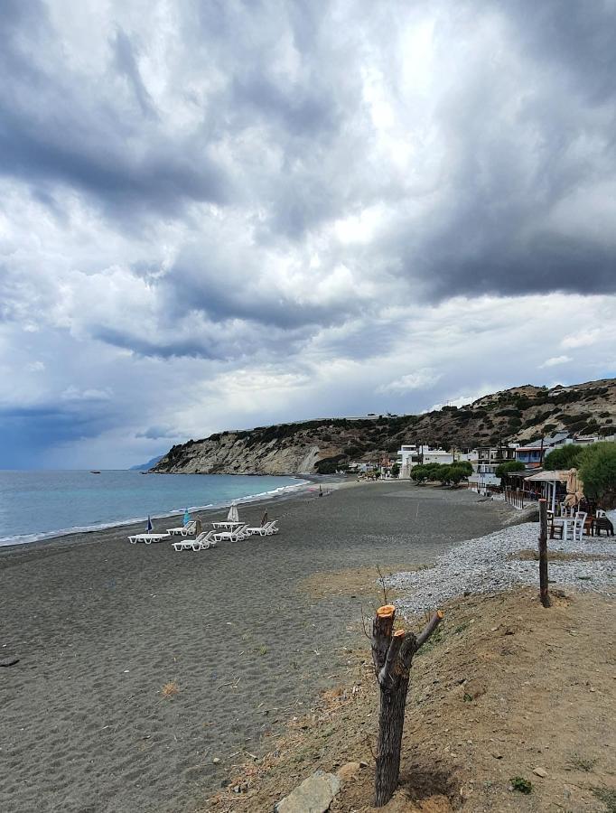 Eirini Apts On The Beach Psari Forada Bagian luar foto