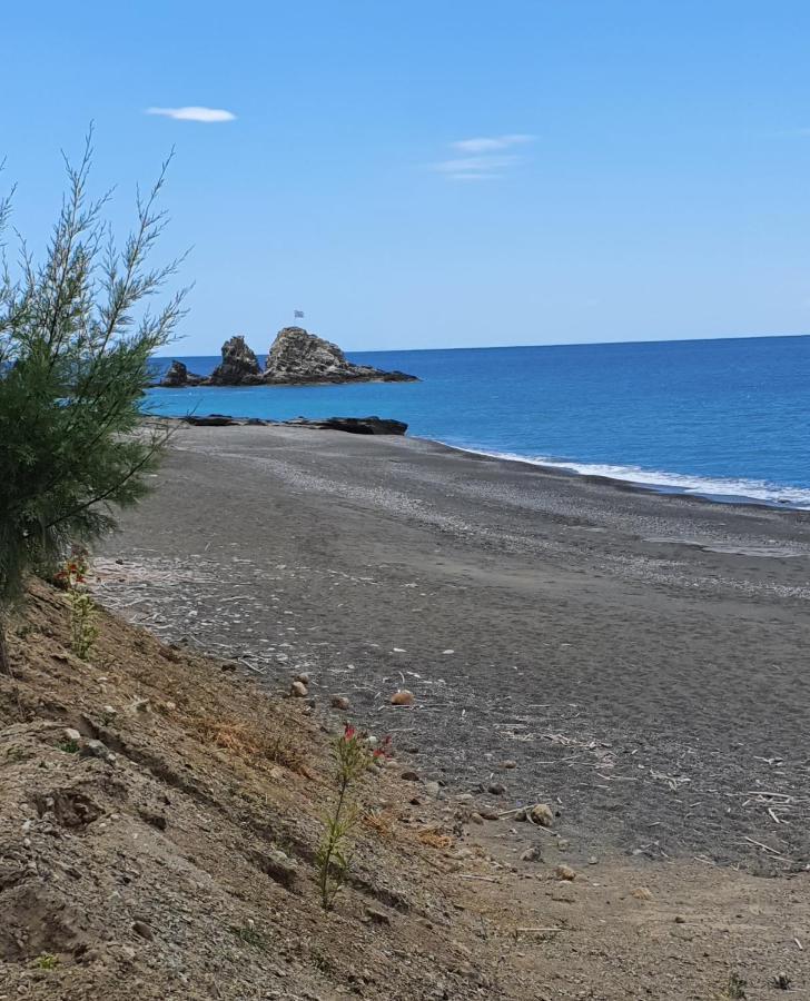 Eirini Apts On The Beach Psari Forada Bagian luar foto